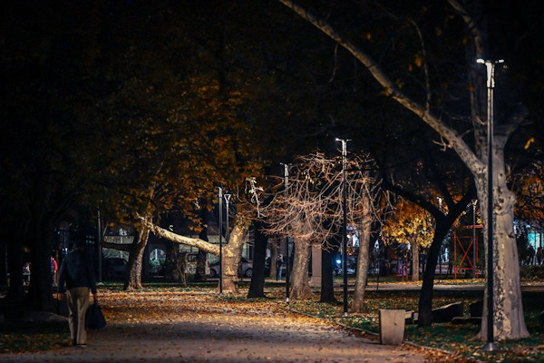 Приключи основният етап от подмяната на алейното осветление в парк „Заимов“ в София