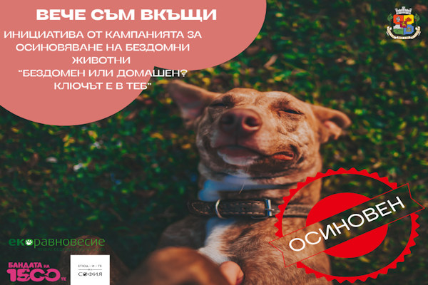 „Вече съм вкъщи“ - новата инициатива от кампанията „БезДОМен или ДОМашен? Ключът е в теб!“
