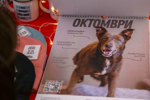 Кампанията „БезДОМен или ДОМашен? Ключът е в теб!“ гостува на Sofia Christmas Fest