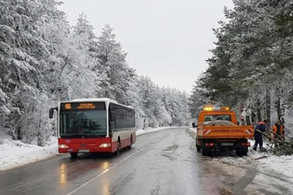 Отворени за движение са пътищата към Природен парк 