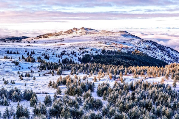 Столична община: Планът за Витоша допуска модернизация на лифтовете, но се нуждае от преработване