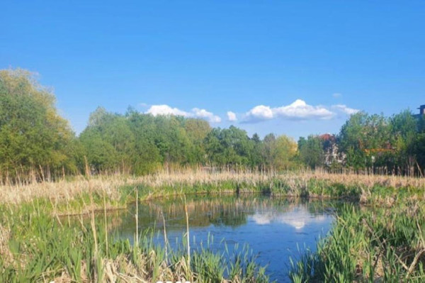 Столичната община разпореди незабавно спиране на строителството в района на Боянското блато