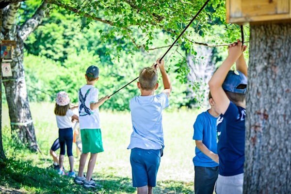 Витоша става класна стая на открито за децата на София - стотици малчугани ще учат и играят сред природата през лятото