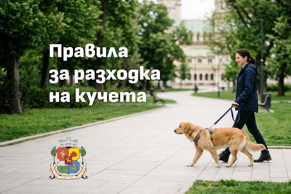 Столичният инспекторат напомня: какво трябва да знае всеки собственик, когато разхожда своето куче