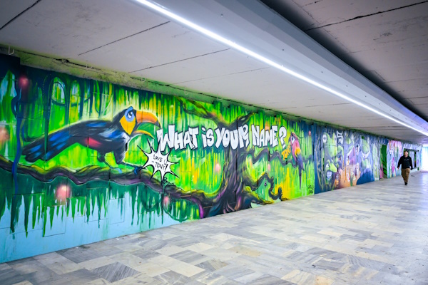 Васил Терзиев: Наша е задачата да внесем ред в хаоса, оставен в детайлите на София