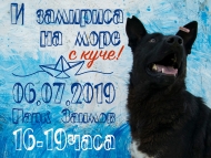 Осиновителската кампания на „Екоравновесие“ продължава в парк „Заимов”