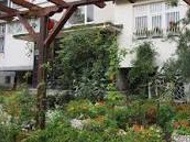 Озеленяват над 180 пространства в кварталите по Програма „Зелена София“ на Столичната община