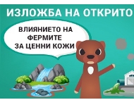 Изложба 