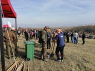 Над 250 доброволци садиха Новата гора на София през първия уикенд  на есенния залесителен сезон