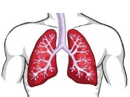 Продължават прегледите по програмата за безплатен скрининг на белите дробове