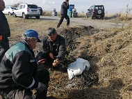 За двата уикенда от есенната залесителна кампания „Новата гора на София“ е пораснала с още 25 декара