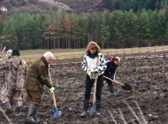 Залесени са 164 дка с 82 000 фиданки в Новата гора на София