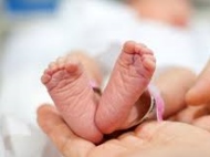 Инвитро бебетата на София вече са 13