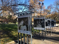 Изложба с обич и почит към Стефан Данаилов