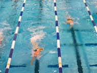 Покана за участие в Десети турнир по плуване за Купа 