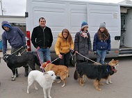 22 кучета от ОП „Екоравновесие“ заминаха днес за Германия