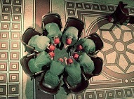 Театър-лаборатория „Алма Алтер“ предава онлайн програмата си за месец март