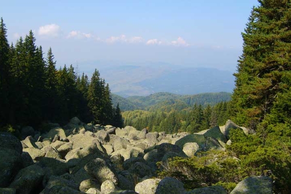 Фандъкова: От 3 май, неделя, отваряме за разходка Природен парк „Витоша“