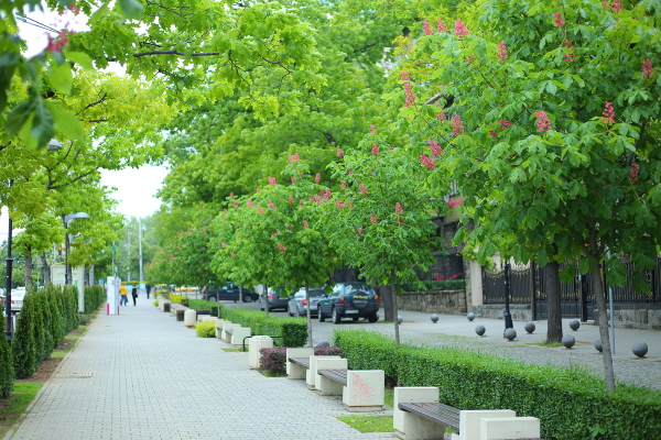 През май продължават обработки срещу кърлежи в междублокови пространства