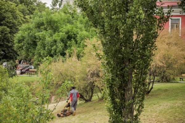 Започват обработки срещу комари и бълхи в зелени площи