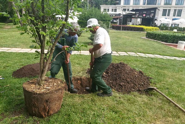 Градински център „Тис“ дари на Столичната община дървета и храсти за Южния парк