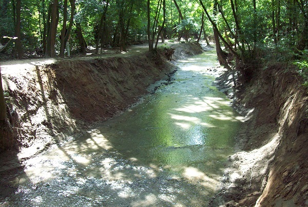 Извършено е почистването на 82 участъка от речните корита на територията на София